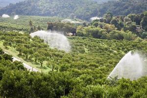 irrigazione giardino degli aranci foto