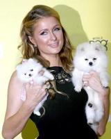 los angeles, 10 gennaio - Paris Hilton, Princess Paris, Prince Hilton presso la rete cw presenta i premi mondiali per cani in un appendiabiti di barker il 10 gennaio 2015 a santa monica, ca foto