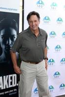 los angeles, nov 10 - robert hays alla terza celebrità annuale di golf classico a beneficio della fondazione di ricerca sul melanoma presso il golf club in riva al lago il 10 novembre 2014 a burbank, ca foto