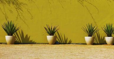 piante in vaso contro il muro giallo foto