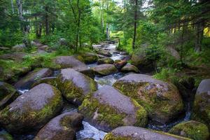 un fiume di montagna con enormi pietre con muschio verde. foresta selvaggia della taiga. foto