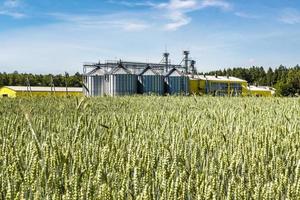 silos d'argento su impianti di agro-lavorazione e produzione per la lavorazione di essiccamento, pulitura e stoccaggio di prodotti agricoli, farine, cereali e granaglie. ascensore del granaio. foto