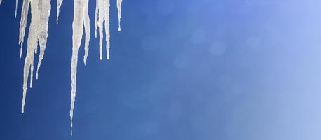 ghiaccioli bianchi contro il cielo blu d'inverno. foto