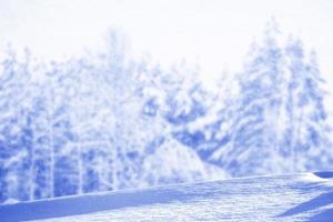 foresta invernale ghiacciata con alberi innevati. foto