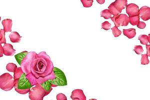 i boccioli delle rose dei fiori. carta di soggiorno foto