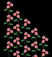 boccioli di fiori di rose isolati su sfondo nero foto