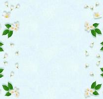 ramoscello di fiori di gelsomino bianco brillante. composizione primaverile. foto