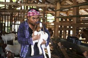 un contadino positivo è felice tra i suoi animali domestici. un contadino maschio in una fattoria di capre sorride mentre guarda le capre nella fattoria. foto