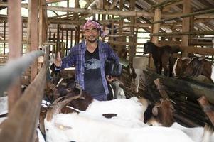 un contadino positivo è felice tra i suoi animali domestici. un contadino maschio in una fattoria di capre sorride mentre guarda le capre nella fattoria. foto