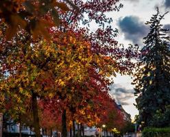 colori autunnali nella città di strasburgo. giallo, rosso, arancione foto