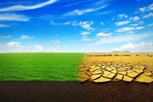 un concetto di cambiamento climatico. bellissimo paesaggio di erba verde e terra di siccità estrema foto