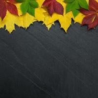 foglie d'autunno sulla lavagna foto