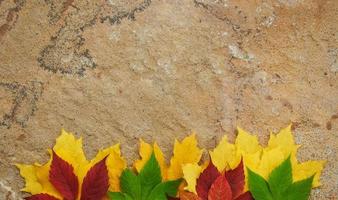 foglie di autunno su sfondo di pietra foto