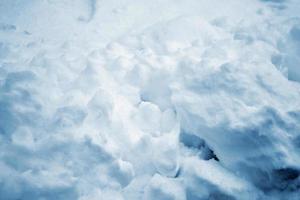 sfondo di neve. paesaggio invernale. foto