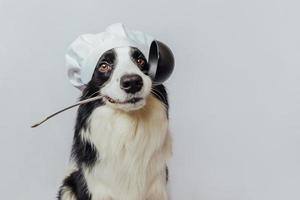 divertente cucciolo di cane border collie in chef che cucina cappello tenendo il cucchiaio da cucina mestolo in bocca isolato su sfondo bianco. chef cane che cucina la cena. concetto di menu del ristorante di cibo fatto in casa. processo di cottura. foto