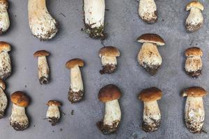 composizione autunnale. porcini di funghi commestibili crudi su sfondo di scisto di pietra nero scuro. porcini sul tavolo grigio. cucinare deliziosi cibi gourmet a base di funghi biologici. piatto laico, vista dall'alto foto