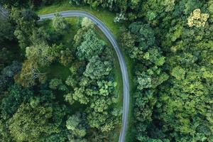 vista aerea dell'albero e della foresta verdi dell'estate con una strada foto