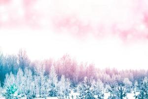 foresta invernale ghiacciata con alberi innevati. foto