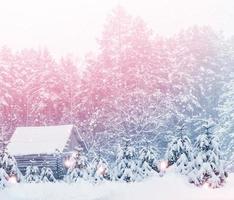 villaggio in inverno foresta innevata. foto