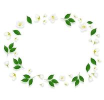 ramoscello di fiori di gelsomino bianco brillante. composizione primaverile. foto
