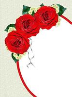 rose rosse isolate su sfondo bianco foto