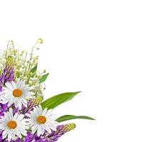 il ramo di mughetti fiori isolati su sfondo bianco foto