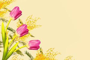 fiori primaverili luminosi e colorati di tulipani e mimose. foto