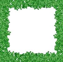 foglie di trifoglio verde isolate su sfondo bianco. festa di San Patrizio foto