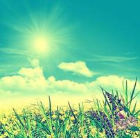 paesaggio estivo con fiori di campo su uno sfondo di cielo azzurro e nuvole foto
