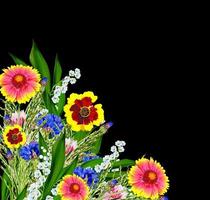 fiori colorati di campo foto
