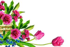 ramo di bei fiori garofano foto