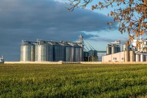 silos d'argento su impianto di agro-lavorazione per la lavorazione e lo stoccaggio di prodotti agricoli, farine, cereali e granaglie foto