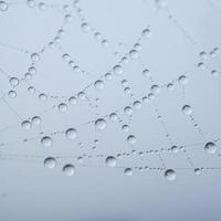 gocce di pioggia sulla ragnatela nei giorni di pioggia, sfondo astratto foto