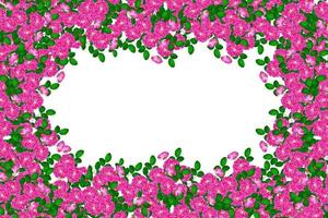 i boccioli delle rose dei fiori. carta di soggiorno foto