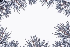 albero di natale nella neve isolato su uno sfondo bianco. biglietto d'auguri. foto