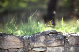 pareti in muratura di colore sabbia naturale con vegetazione naturale verde sullo sfondo in sfocatura. Primo piano primo piano di struttura della pietra, ecologia, tema ecologico foto