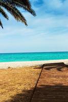 passerella in legno sulla spiaggia con palme. immagine verticale. foto