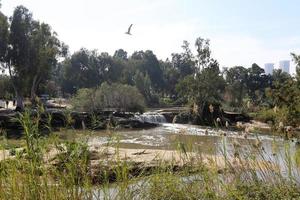 il fiume yarkon nel parco cittadino di tel aviv. foto