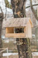 casa di alimentazione su un albero nel parco invernale foto