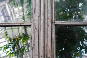vecchio telaio della finestra in legno con vetro sporco. alberi verdi dietro la finestra foto