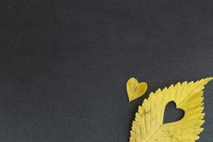 foglia di olmo giallo con cuore tagliato su sfondo grigio foto