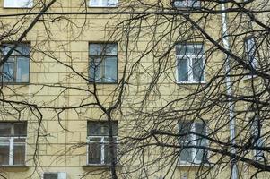 finestre di un edificio tra gli alberi foto