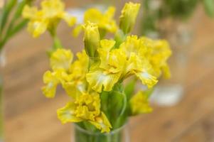 bouquet di iridi gialle, fuoco selettivo foto