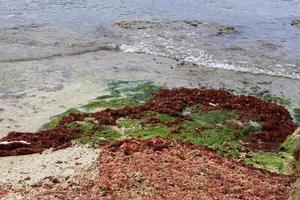 costa del Mar Mediterraneo nel nord di Israele. foto