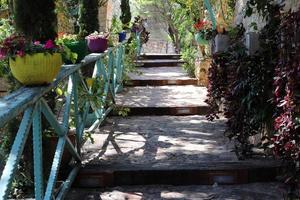 strada per passeggiare nel parco cittadino. foto