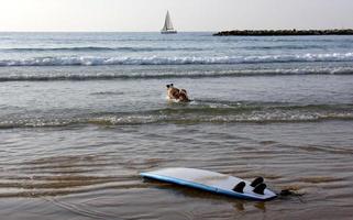 21 dicembre 2018 Israele. surf su onde alte nel Mediterraneo. foto