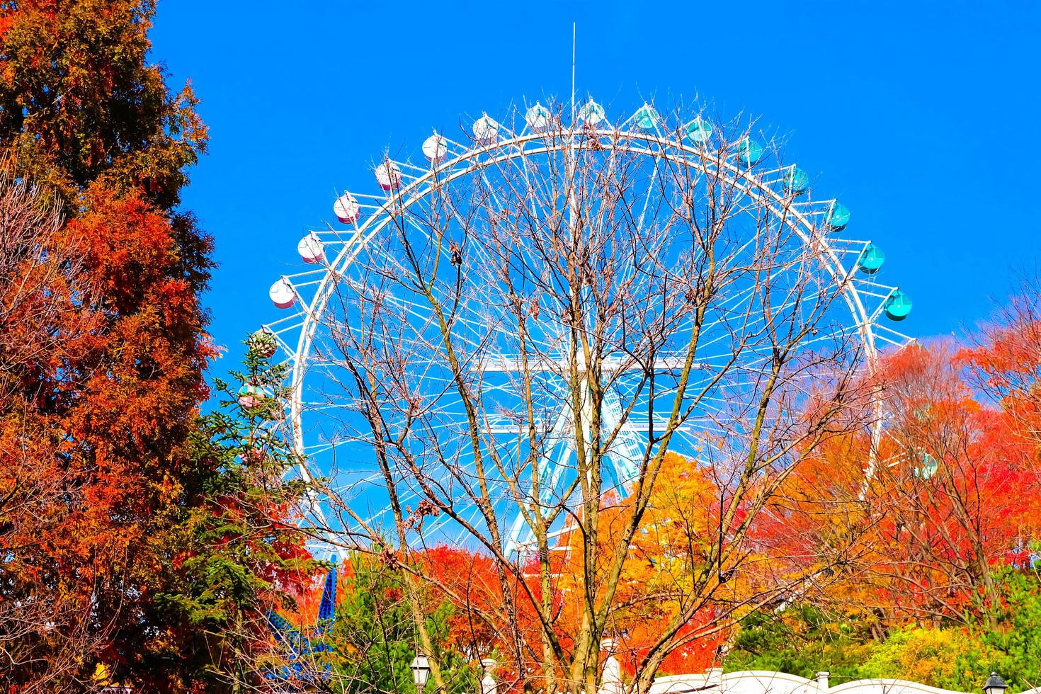 roda gigante e parque de diversões do belo outono na coreia do sul everland. foto