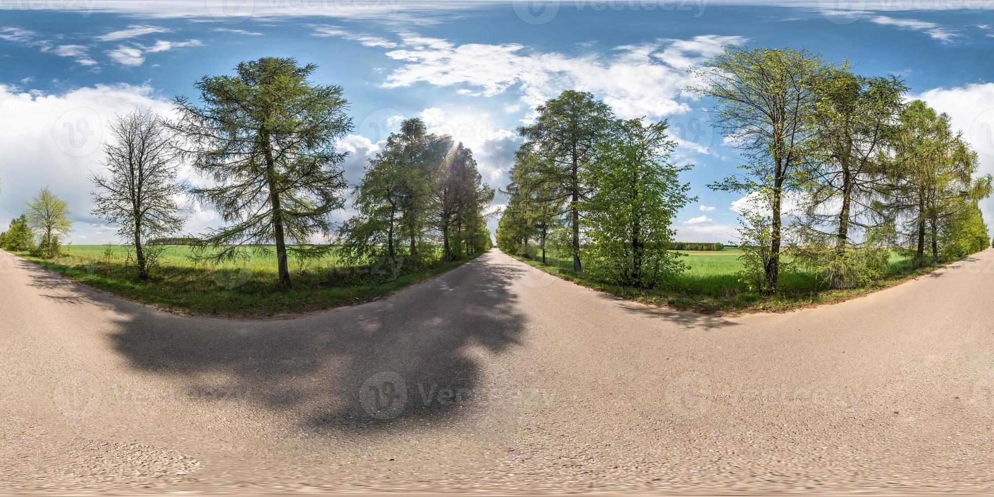 panorama esférico sem costura visão de ângulo de 360 graus em estrada de asfalto sem tráfego entre beco de lariços e campos com nuvens impressionantes em projeção equidistante equirretangular, conteúdo vr ar foto