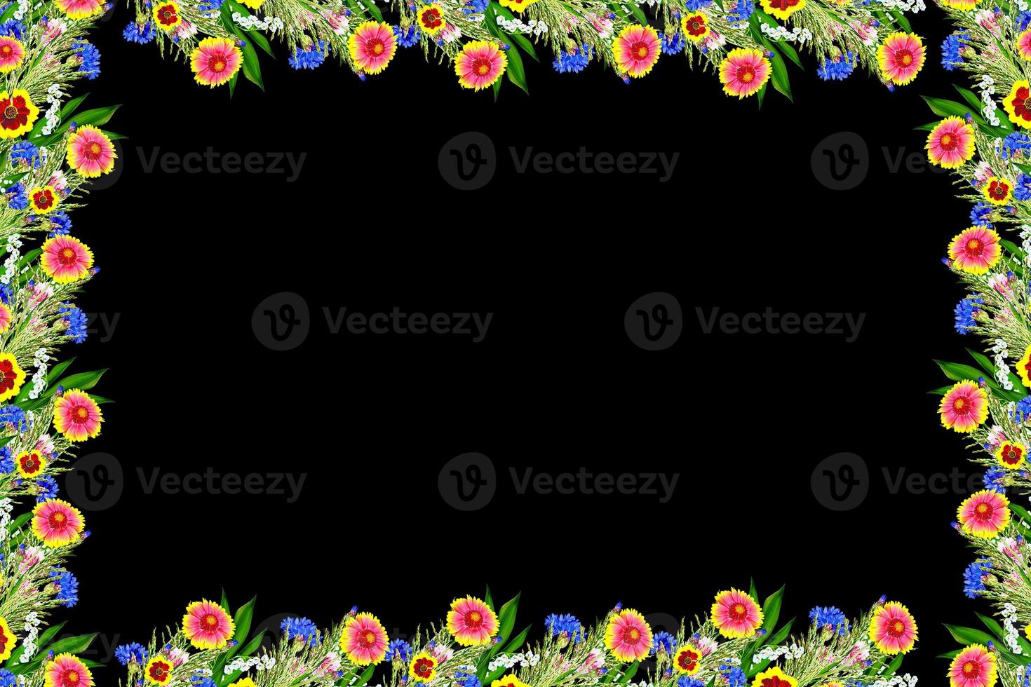 buquê de flores coloridas de gaillardia. flores delicadas isoladas em fundo preto foto