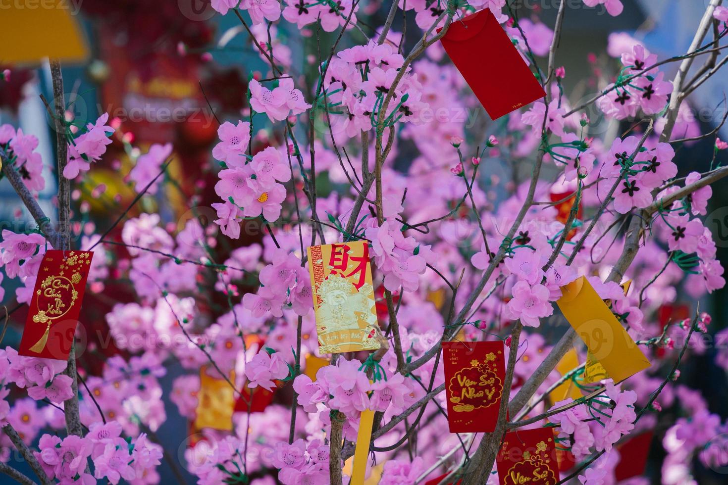 flores coloridas florescem na pequena vila antes do festival tet, ano lunar do vietnã. flor de pêssego, o símbolo do ano novo lunar vietnamita foto